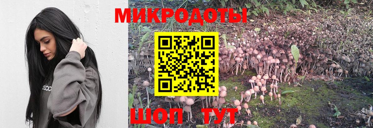 Муравленко  как найти закладки  Вход с VPN  Псилоцибиновые грибы прущие грибы 